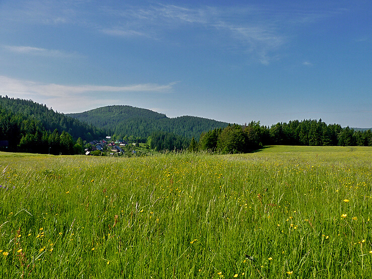 P1000055.JPG