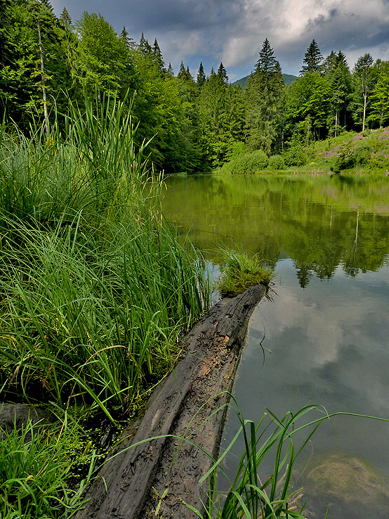 P1020057.JPG