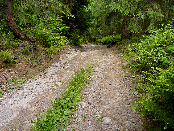 Rozprávkový les nad Špaňou Dolinou